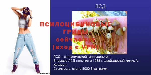 MESCALINE Переславль-Залесский